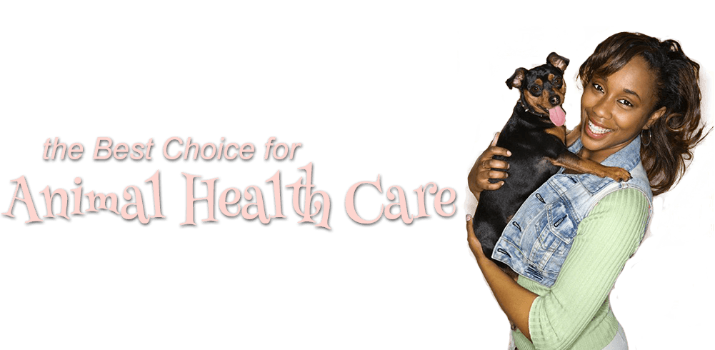 The Best Choice for Animal Health Care