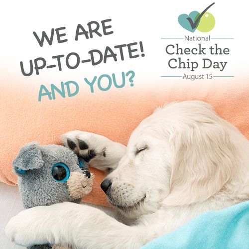 National Check The Chip Day On August 15