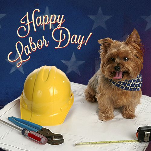 Pup Wishes You A Happy Labor Day