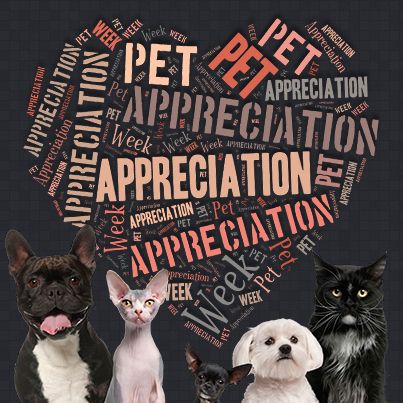 Pet Appreciation Week Forming A Heart