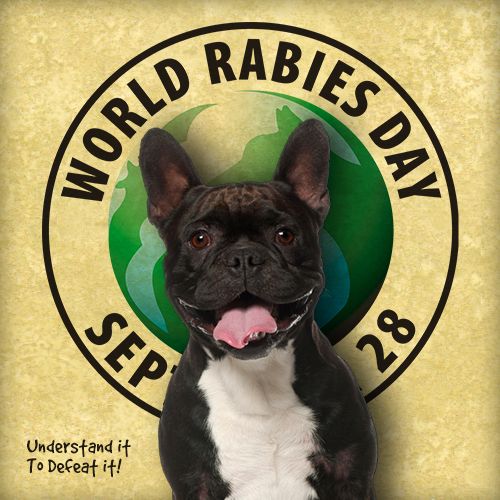 Understand It, Defeat It, World Rabies Day