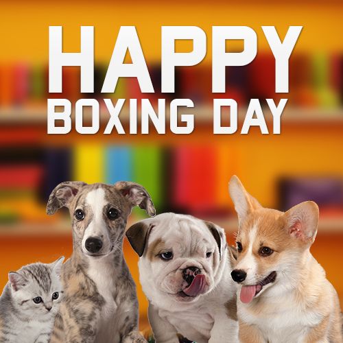 Happy Boxing Day with Three Dogs & A Kitten