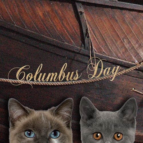 Celebrate Columbus Day With Two Cats