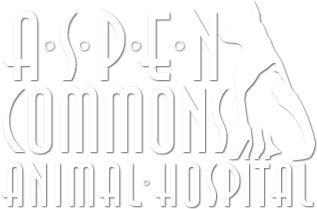 Aspen Commons Animal Hospital Home