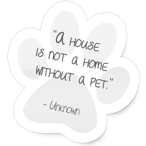 A house is not a home without a pet.
