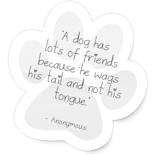 A dog has lots of friends because he wags his tail and not his tongue.
