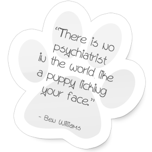 There is no psychiatrist in the world like a puppy licking your face.
