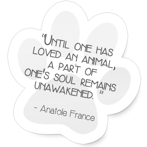 Until one has loved an animal, a part of one's soul remains unawakened.