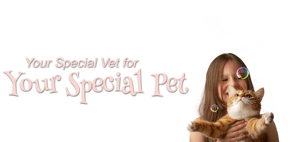 Your Special Vet for Your Special Pet