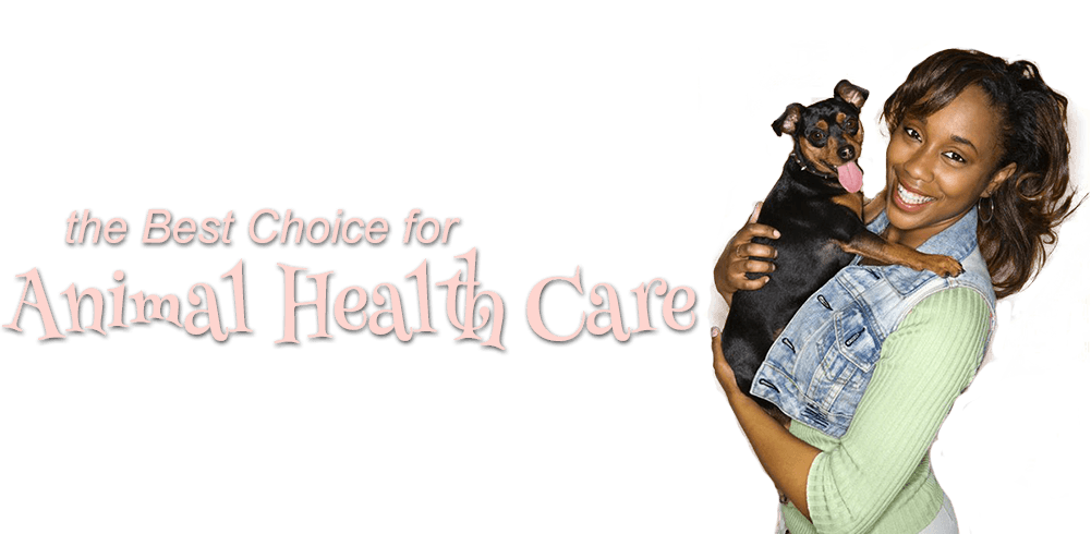 The Best Choice for Animal Health Care