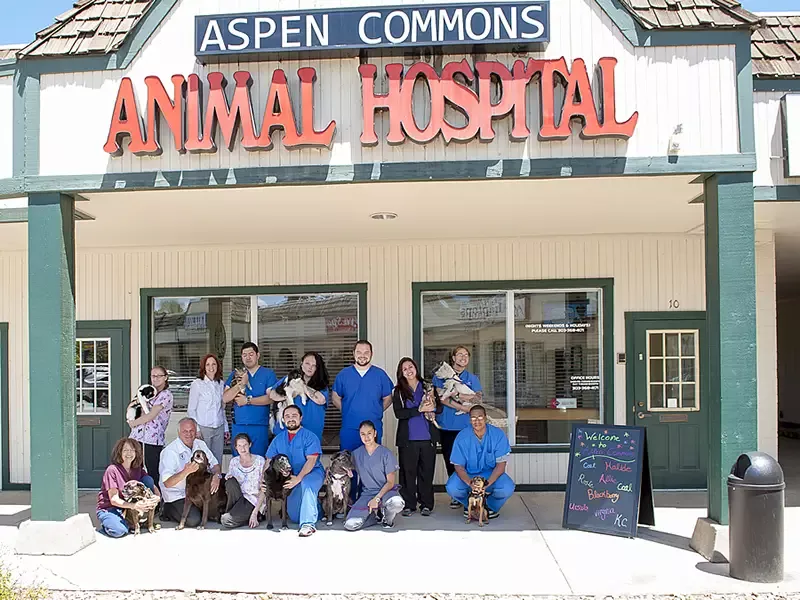 Welcome to Aspen Commons Animal Hospital! Welcome to Aspen Commons Animal Hospital!